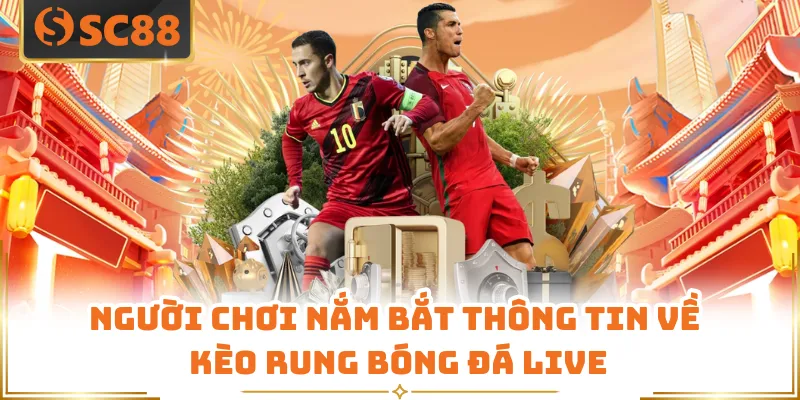 Người chơi nắm bắt thông tin về kèo rung bóng đá live